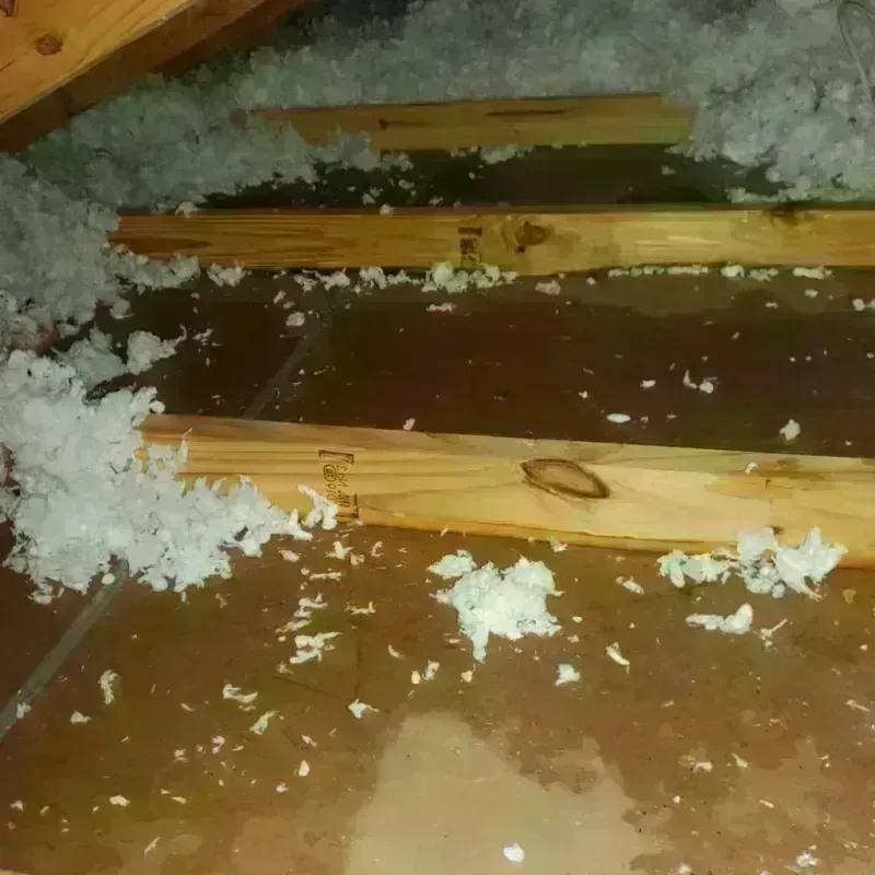 Attic Water Damage in Richmond, MI