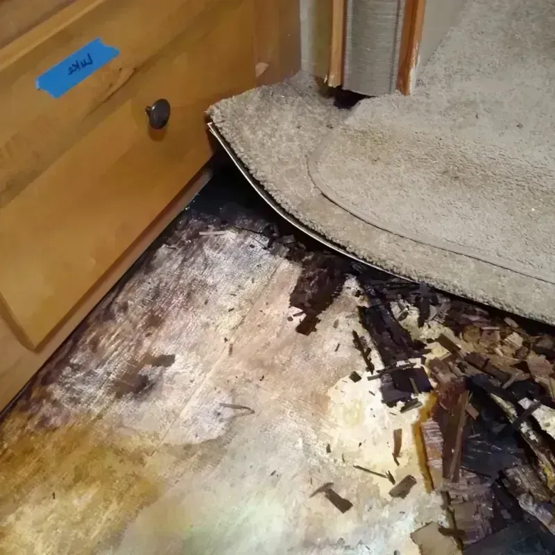 Wood Floor Water Damage in Richmond, MI